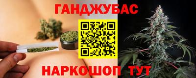 крисы Будённовск