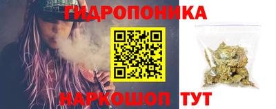 крисы Будённовск