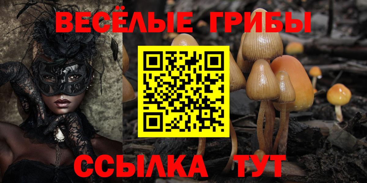 Галлюциногенные грибы мухоморы Нерюнгри