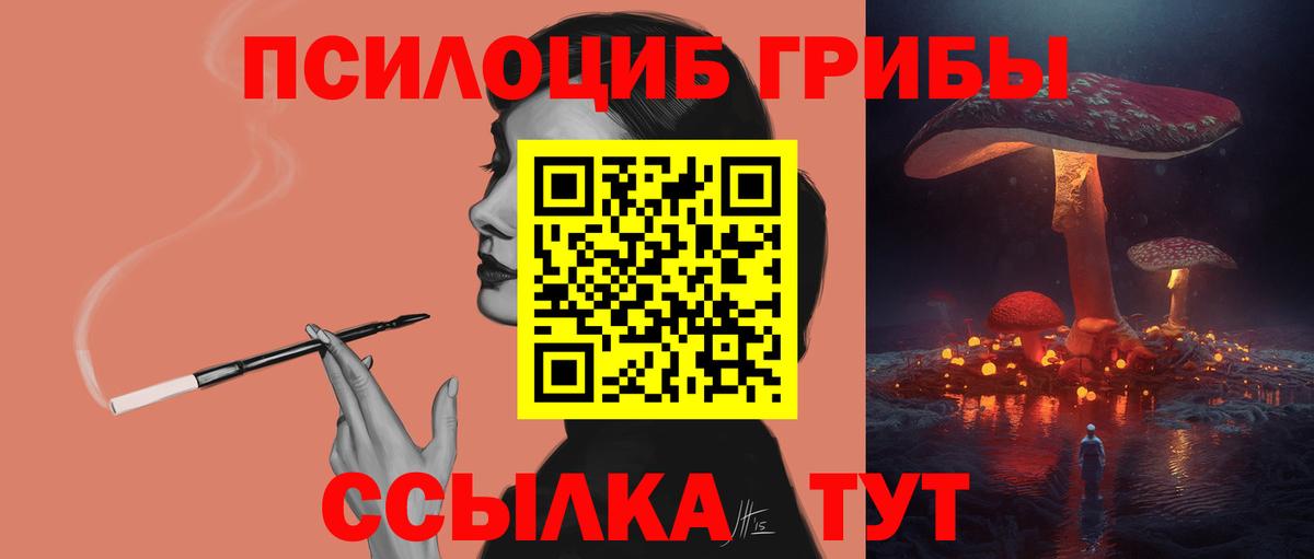 Галлюциногенные грибы прущие грибы  наркошоп  Галлюциногенные грибы MAGIC MUSHROOMS  Нерюнгри  Вход с VPN 